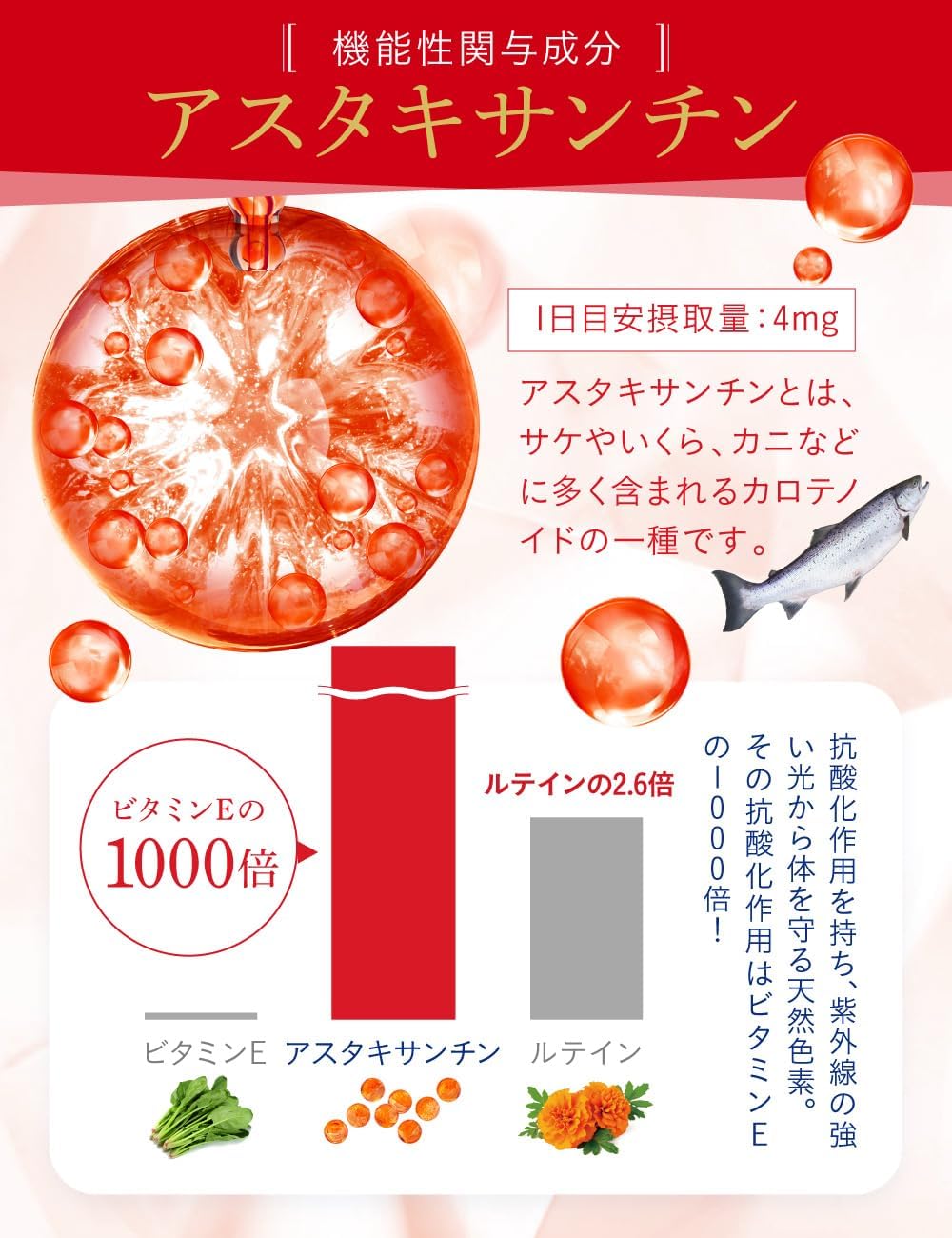 HAKUA 製品画像 4